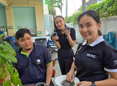 “ปลูกพืชผักสวนครัว” ภายใต้โครงการส่งเสริมองค์กรคุณธรรม ... พารามิเตอร์รูปภาพ 3